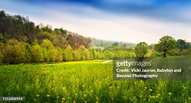 panorama of spring green and scenic view at stroud preserve in chester county, pennsylvania - delaware county pennsylvania stock pictures, royalty-free photos & images