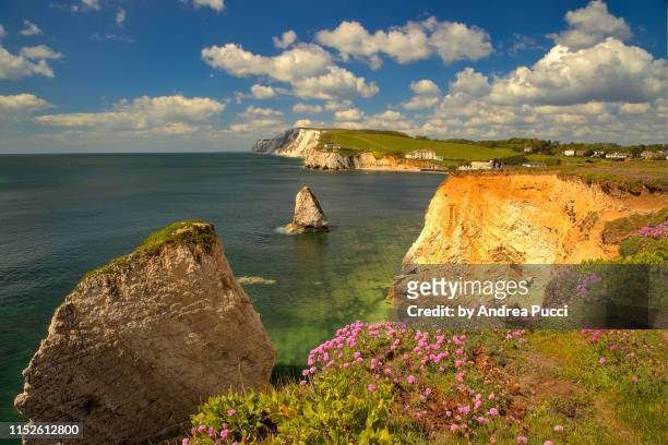 freshwater bay, isle of wight, united kingdom - isle of wight stock pictures, royalty-free photos & images