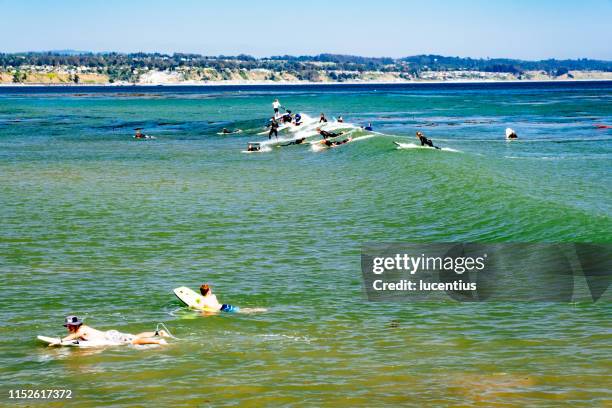 surfers at capitola, monterey bay, california, usa - capitola stock pictures, royalty-free photos & images