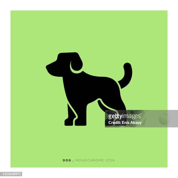 ilustrações de stock, clip art, desenhos animados e ícones de dog icon - dog icon