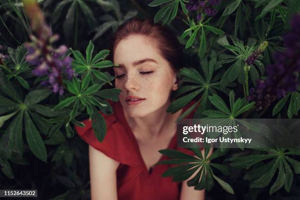 portrait of redheaded young woman - aspecto da epiderme - fotografias e filmes do acervo