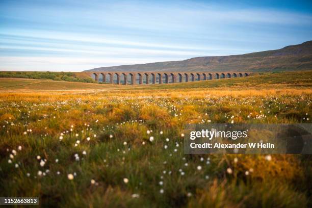 ribblehead viaduct - ribblehead viaduct stock pictures, royalty-free photos & images