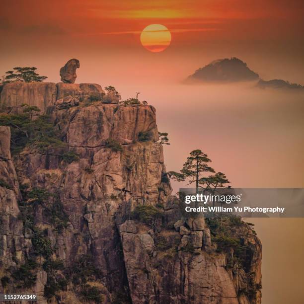 stone monkey gazing over the sea of clouds - huangshan bildbanksfoton och bilder