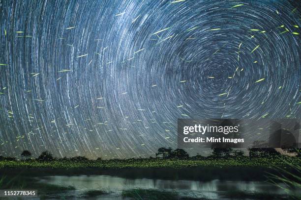 a star trail at night on the banks of the river with firefly trails - safari park stock-fotos und bilder