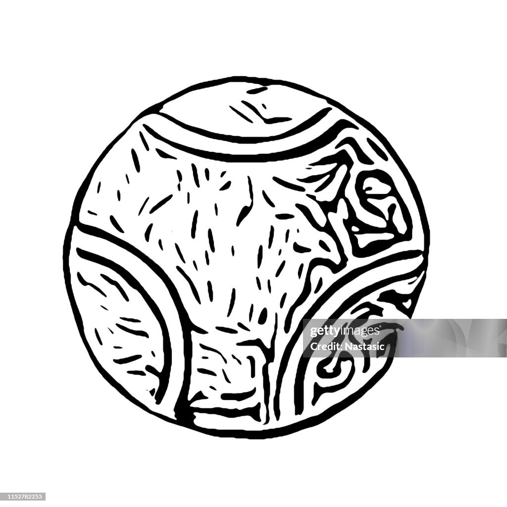 Passion flower (Passiflora caerulea) pollen grain