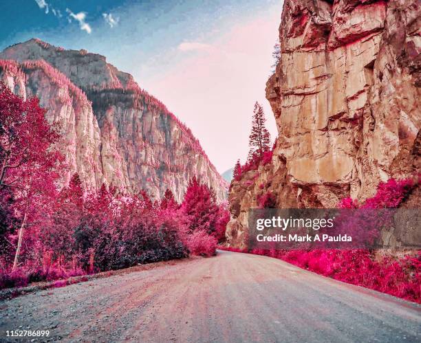 camp bird road in ouray colorado - infrared stockfoto's en -beelden