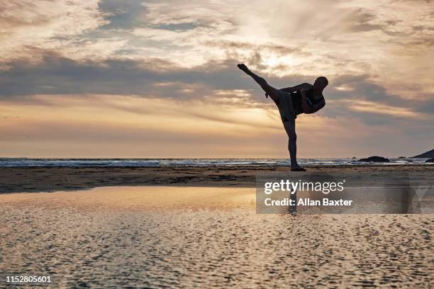silhouette of man practising kung fu moves on beach - kung fu fotografías e imágenes de stock