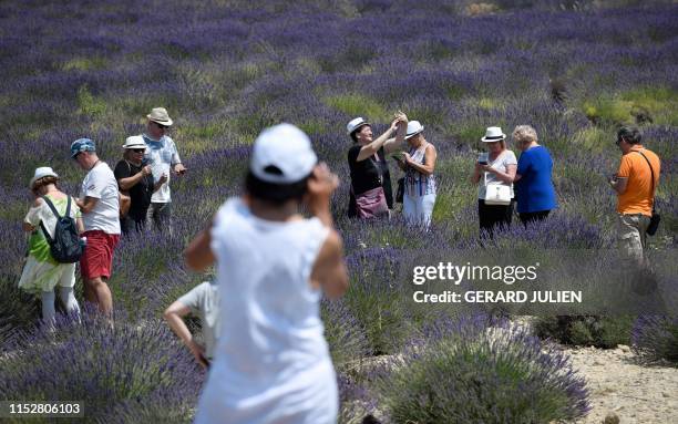 Tourists take pictures as they walk across a lavender field in Valensole, southeastern France, on June 29, 2019. - French lavender farms are a...