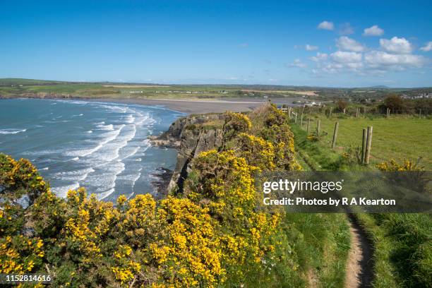 coast path at newport, pembrokeshire coast national park, wales - newport verenigd koninkrijk stockfoto's en -beelden