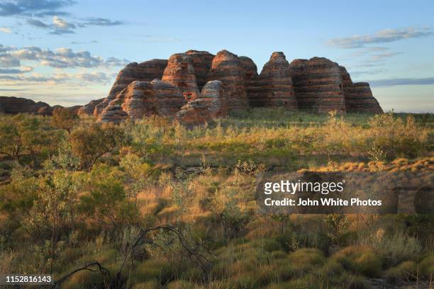 bungle bungle range. purnululu national park. kimberley region of western australia. - bungle bungle stock-fotos und bilder