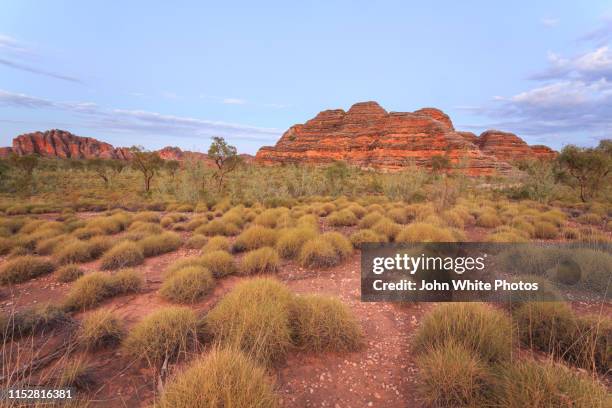 bungle bungle range. purnululu national park. kimberley region of western australia. - bungle bungle stock-fotos und bilder