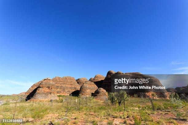 bungle bungle range. purnululu national park. kimberley region of western australia. - bungle bungle stock-fotos und bilder
