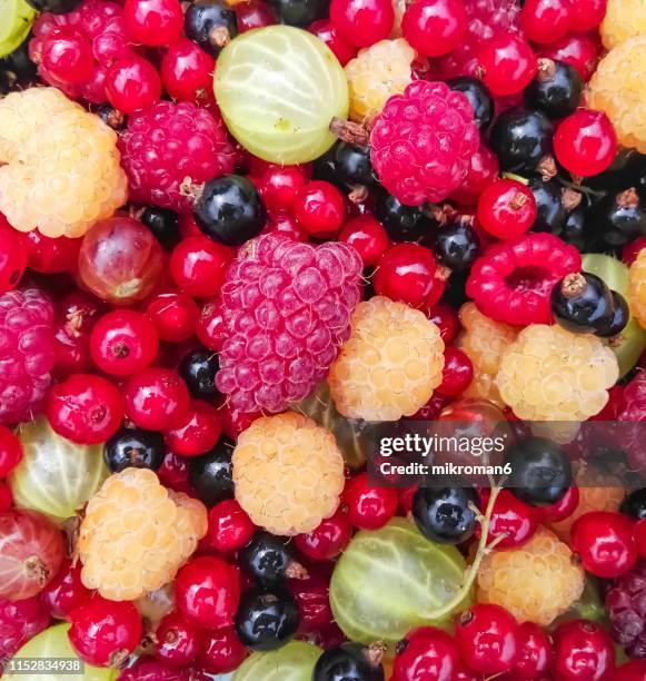 mixed summer berries - salad tossing stock pictures, royalty-free photos & images