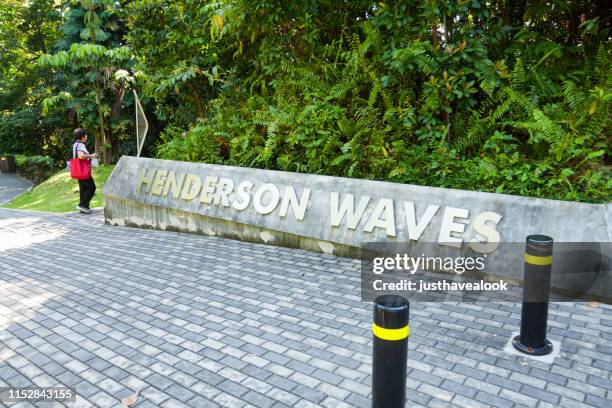 asian woman at henderson waves bridge - henderson waves bridge stock pictures, royalty-free photos & images