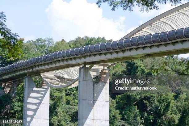 henderson waves bridge in singapore - henderson waves bridge stock pictures, royalty-free photos & images