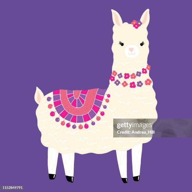 cute alpaca - saddle stock illustrations