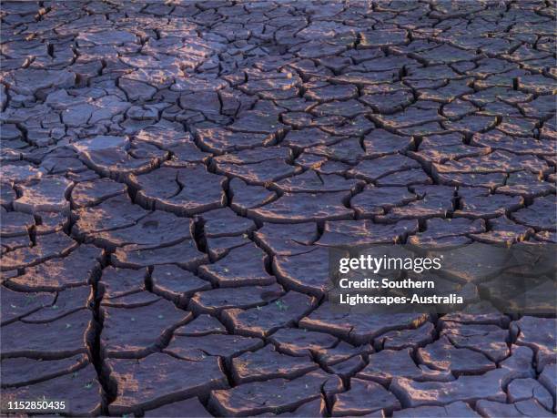 late summer drought conditions at lake glenmaggie, west gippsland, victoria. - glenmaggie stock pictures, royalty-free photos & images