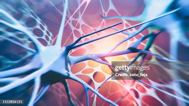 sistema do neuron - esclerose lateral amiotrófica - fotografias e filmes do acervo