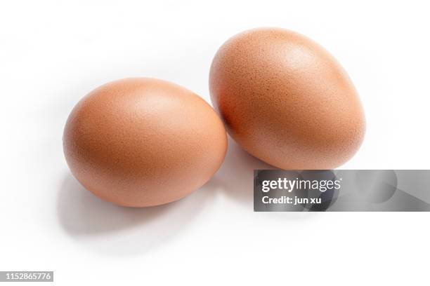 red eggs on a white background - oeufs photos et images de collection