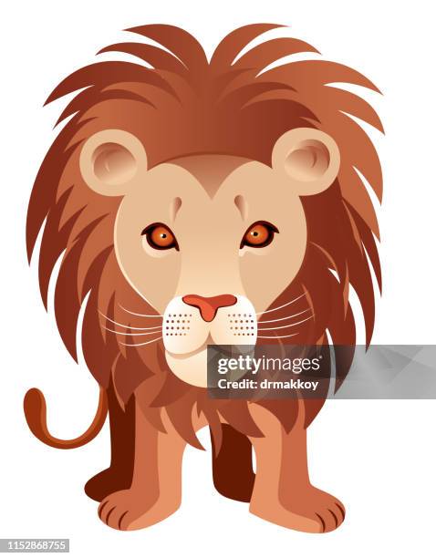 lion - mane stock illustrations