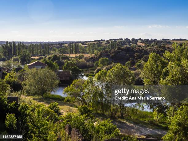 68 Maria Ledesma Stock Photos, HighRes Pictures, and Images Getty Images