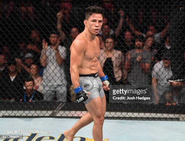 Joseph Benavidez celebrates after defeating Jussier Formiga of Brazil in their flyweight bout during the UFC Fight Night event at the Target Center...