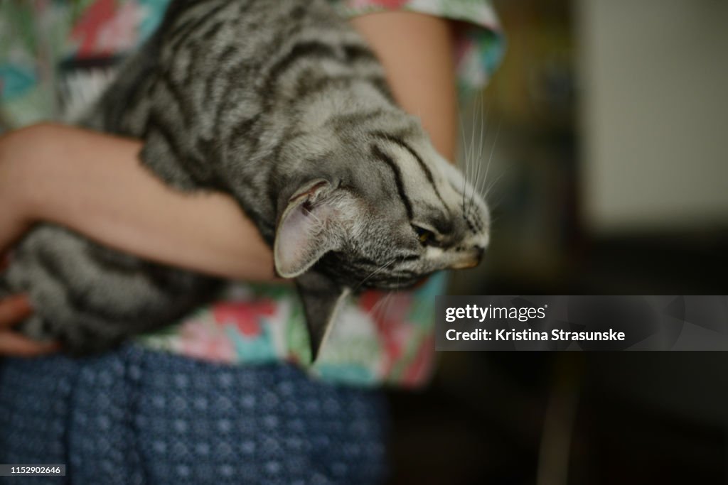 A girl holding a cat in her arms