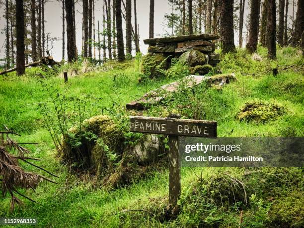 famine grave in the arigna mountains, co. roscommon - famine stock pictures, royalty-free photos & images