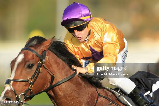 Jim Innes 11 James Innes (Author) Stock Photos, High-Res Pictures, and Images ...