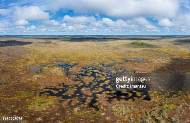 teicu bog in springtime, latvia - peat stock pictures, royalty-free photos & images