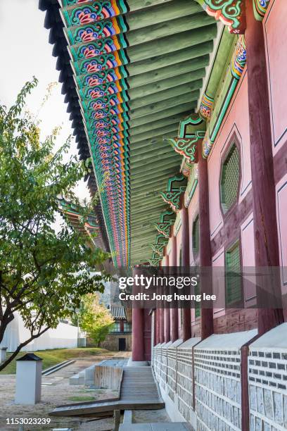 beautiful gyeongbokgung palace eaves pattern (dan-cheong) - jong heung lee stock pictures, royalty-free photos & images