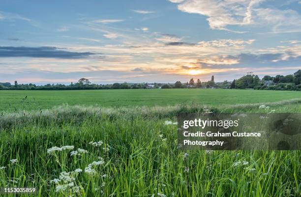 chilterns sunset - チルターンヒルズ ストックフォトと画像