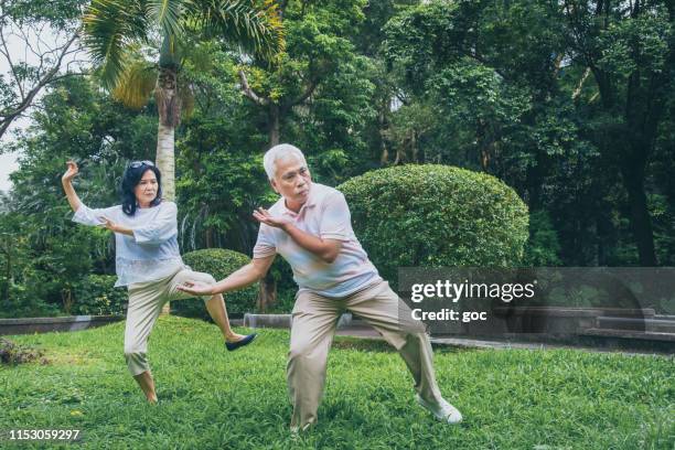 senior female adult learning the proper movement of tai chi from her husband while having rest in park - practising tai-chi stock pictures, royalty-free photos & images