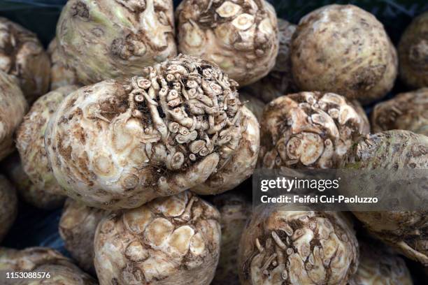 close-up of celeriac at street market of biel, switzerland - celeriac stockfoto's en -beelden