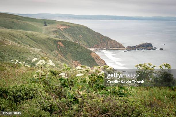 Point Reyes Ca Photos and Premium High Res Pictures - Getty Images