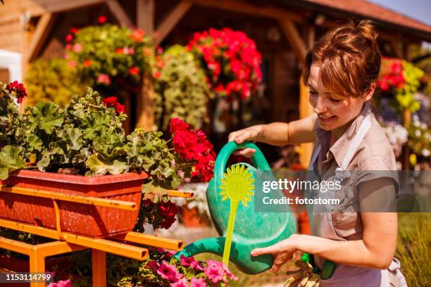 bloemist zorg voor planten - tuincentrum stockfoto's en -beelden