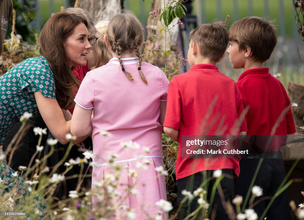 2019 RHS Hampton Court Palace Flower Show