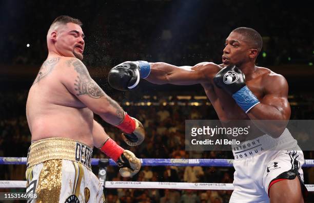 999 Joshua Square Boxer Photos and Premium Res Pictures Getty Images