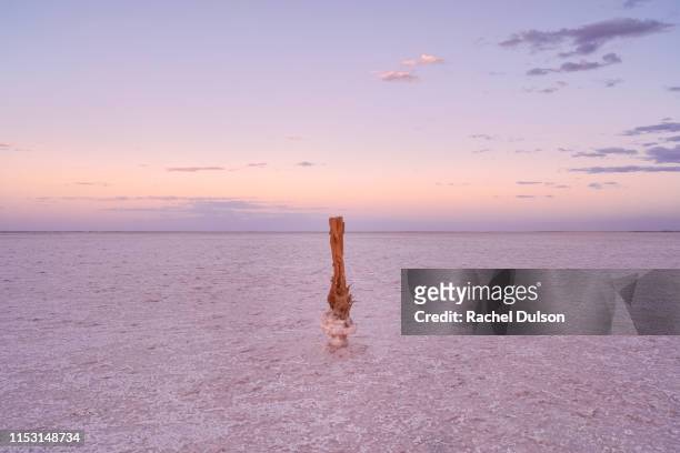 pink salt lake - see salt lake stock-fotos und bilder