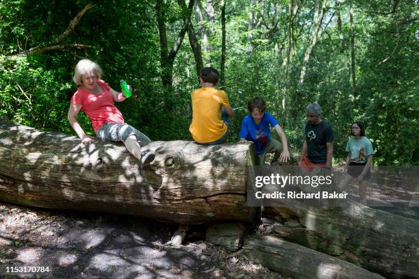 Family climb over a fallen tree trunk in Ecclesall Woods, on 29th June 2019, in Sheffield, England.