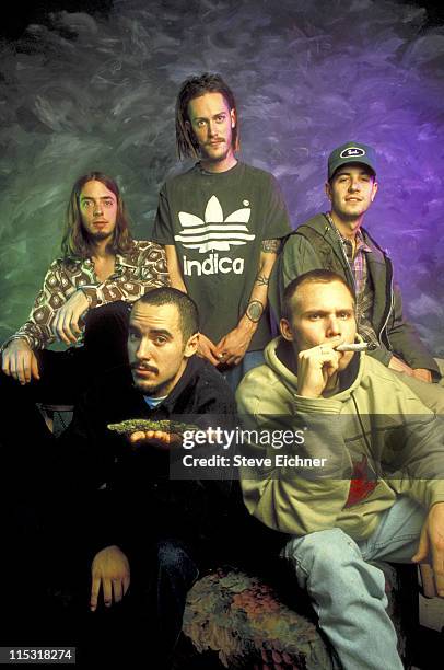 311$ 2,145 311 Band Stock Photos, High-Res Pictures, and Images - Getty Images