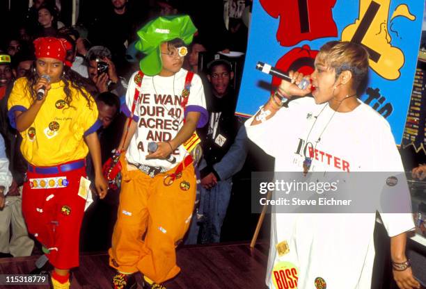 During TLC in Concert - 11-1-1993 in New York City, New York, United States.