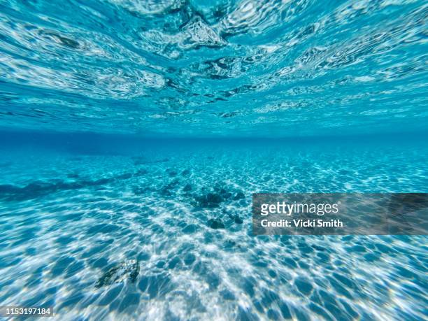 underneath a wave in the clear ocean waters looking at rocks and shells on the ocean floor and natural water patterns - underwater film camera stock-fotos und bilder