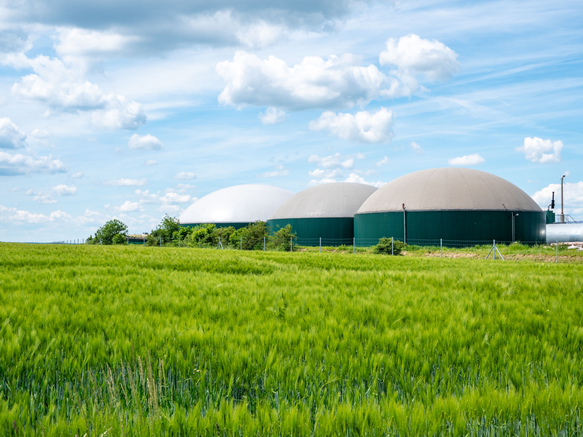 biomass energy plant
