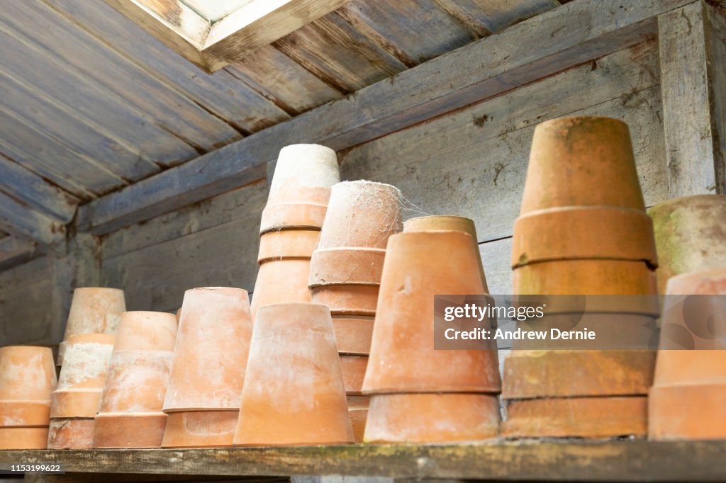 Close up of terracotta plant pots