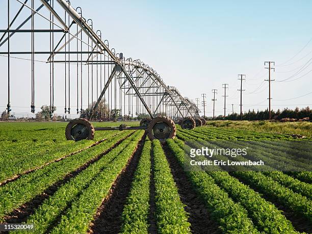 farm irrigation - pivot bildbanksfoton och bilder