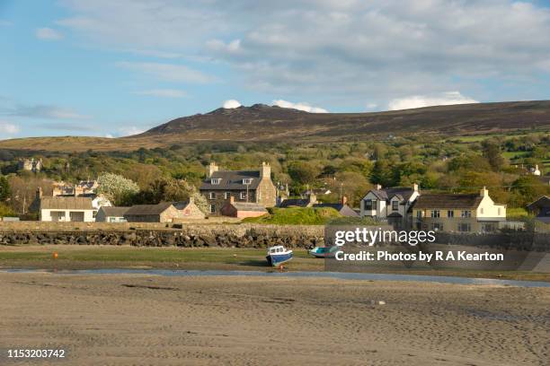 newport and mynydd carningli, pembrokeshire, wales - newport wales photos et images de collection