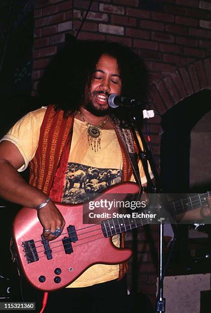 Rust Root Song Rusted Root In Concert Photos and Premium High Res Pictures - Getty Images