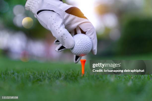 hand putting golf ball on tee in golf course - abschlagen stock-fotos und bilder