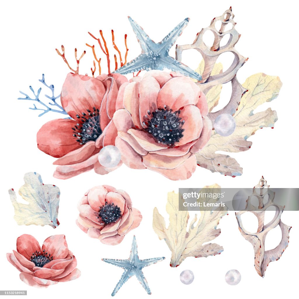 Deep Ocean Objects High-Res Vector Graphic - Getty Images